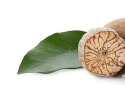Nutmeg